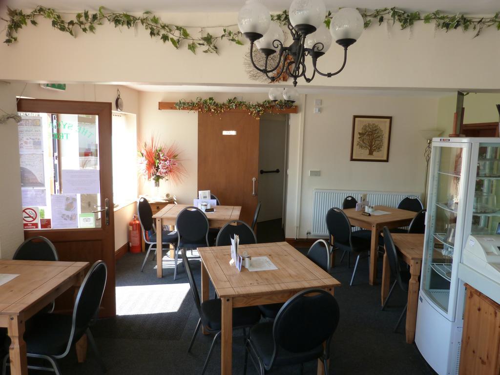 The Sycamore Tree Longtown Extérieur photo
